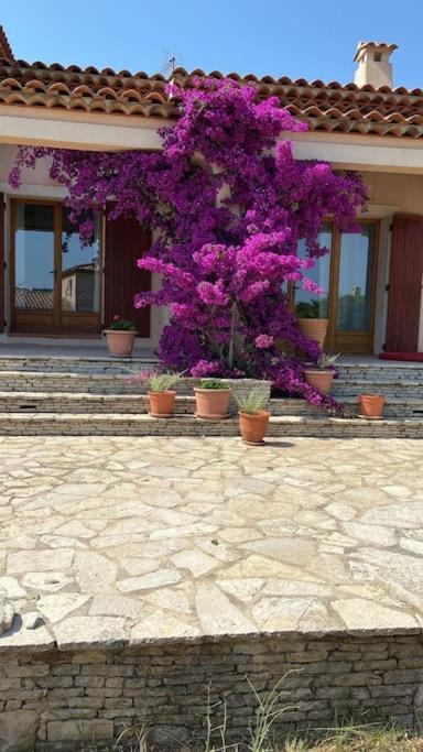 Villa Avec Jardin Au Calme A 7 Min De Cassis Roquefort-la-Bédoule Exteriér fotografie